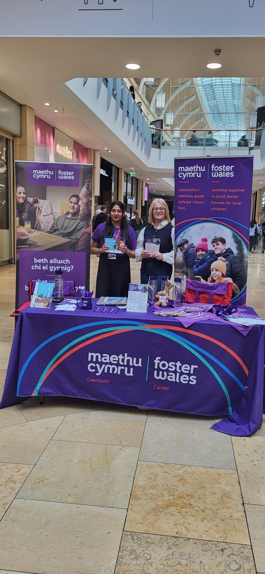 St David's fostering recruitment stand